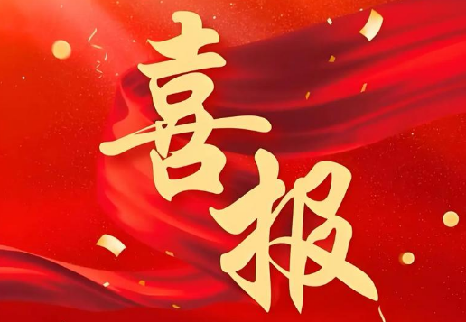 喜訊：我司榮獲“2024年度中國標(biāo)簽印刷前50名企業(yè)”